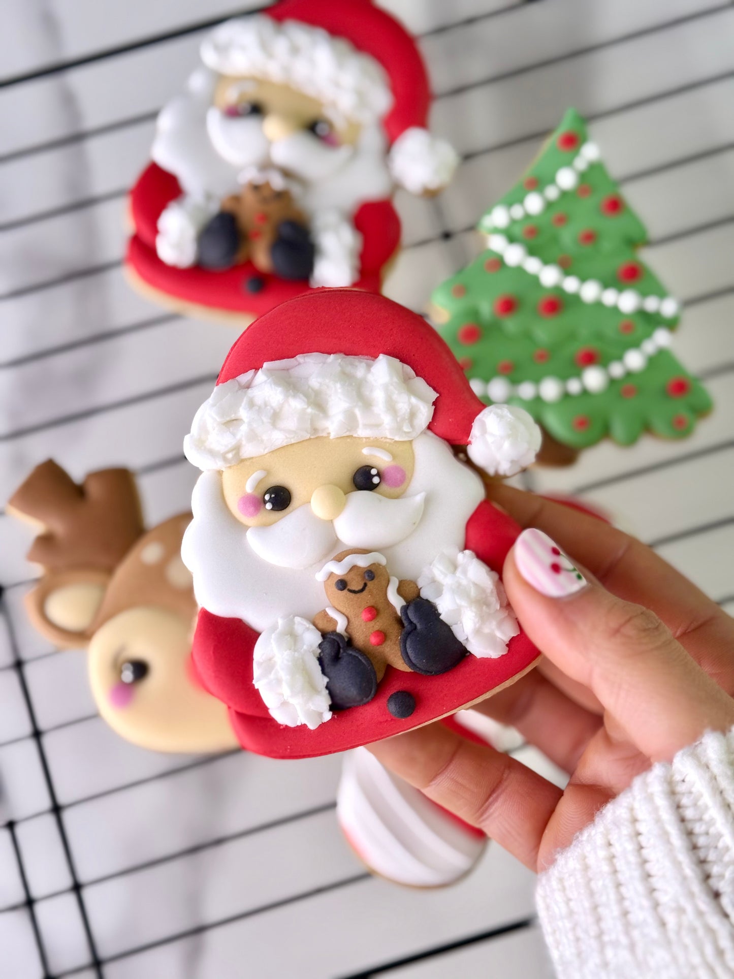 Masterclass Presencial Madrid | Galletas Decoradas