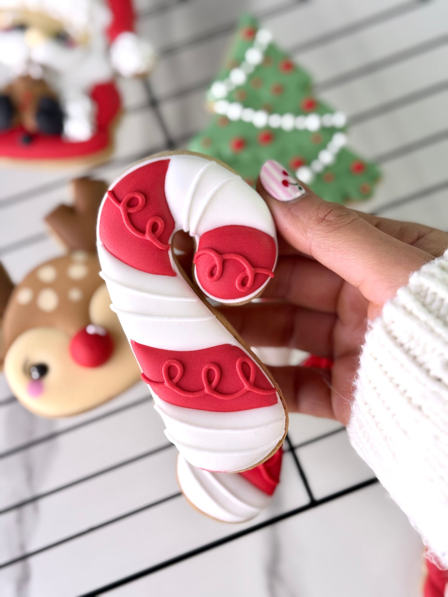 Masterclass Presencial Madrid | Galletas Decoradas