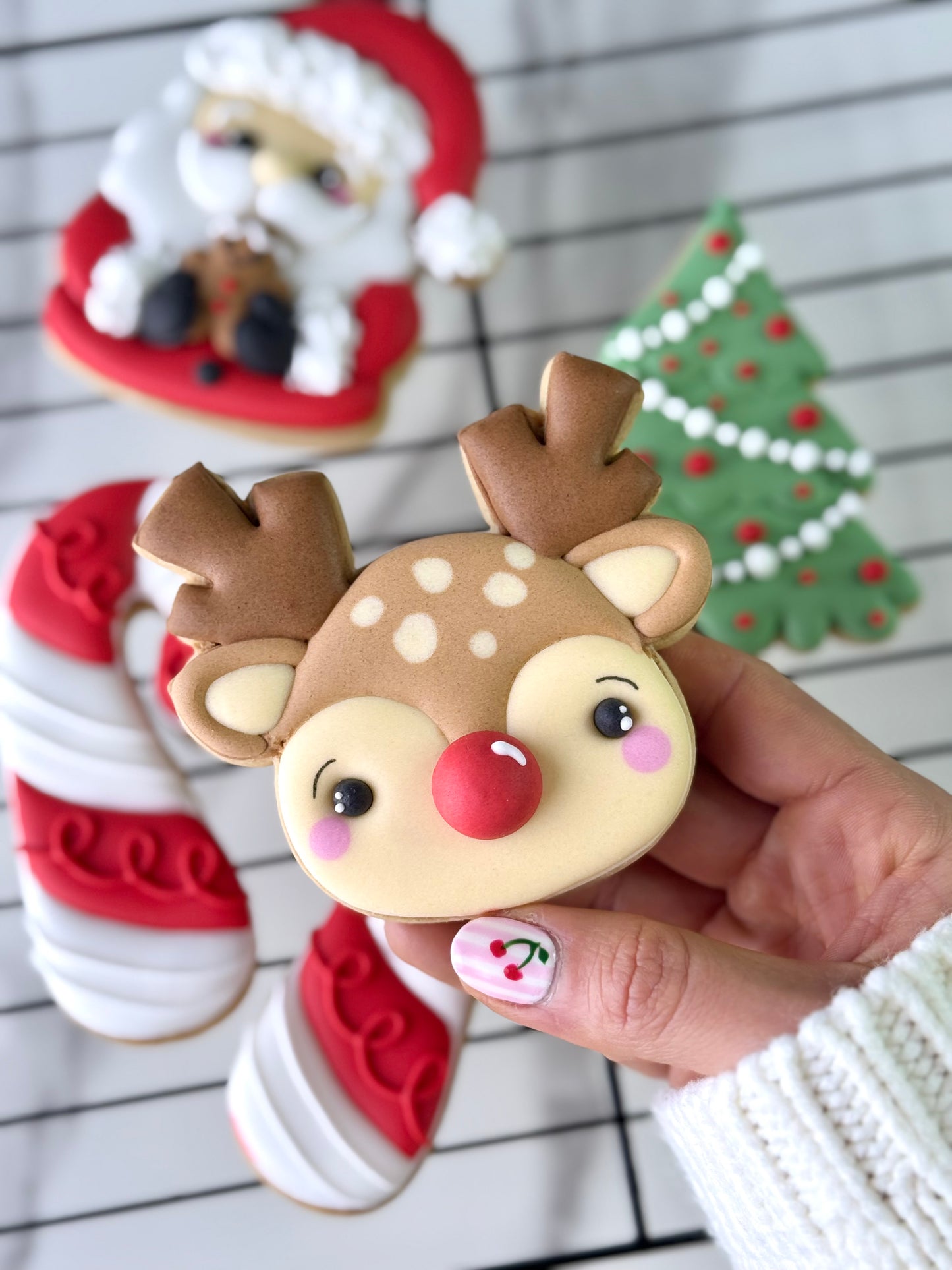 Masterclass Presencial Madrid | Galletas Decoradas