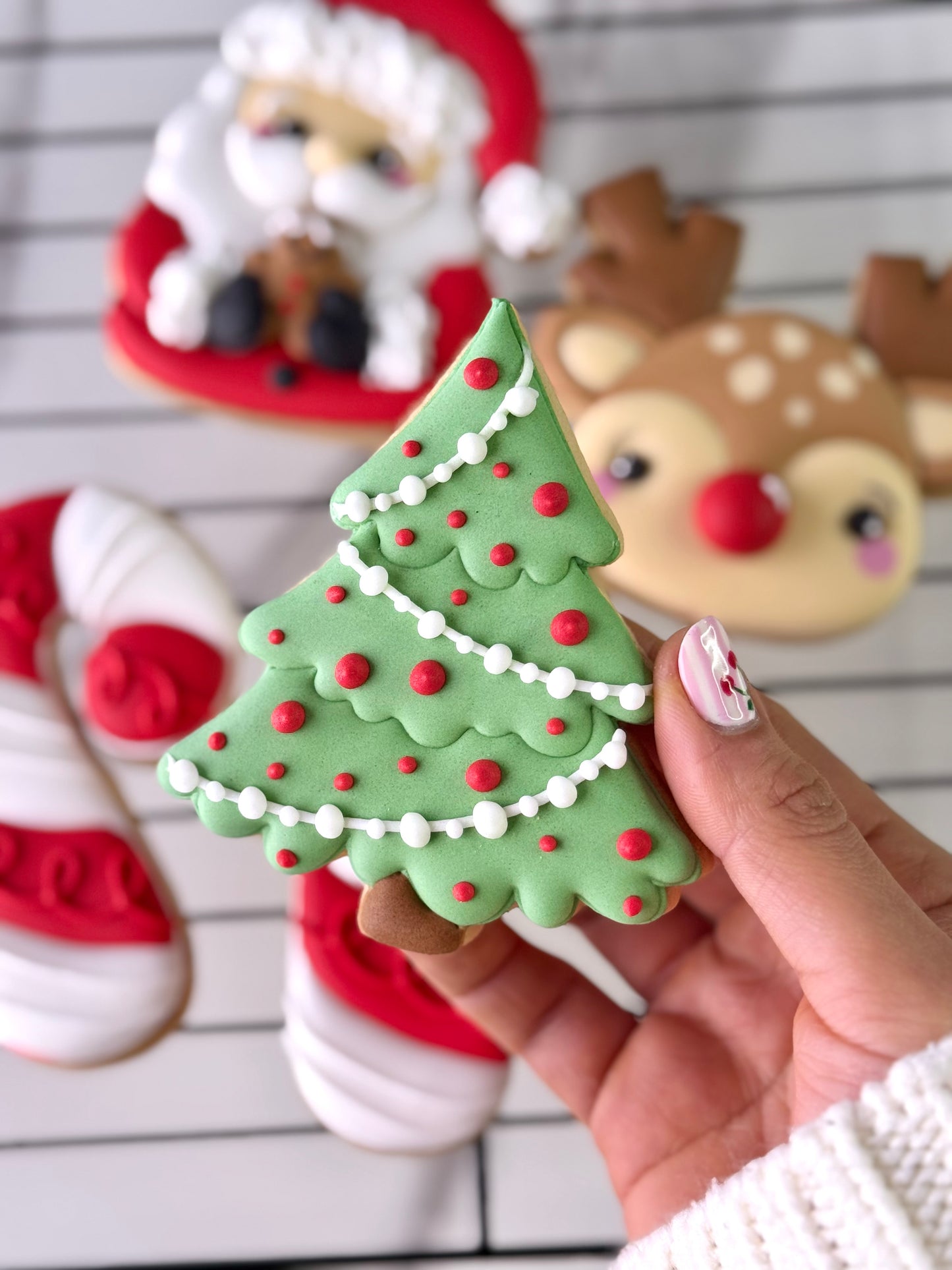 Masterclass Presencial Madrid | Galletas Decoradas