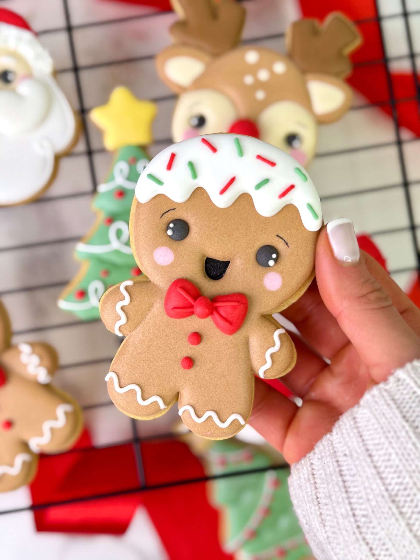 Curso de Galletas Decoradas Edición Navidad