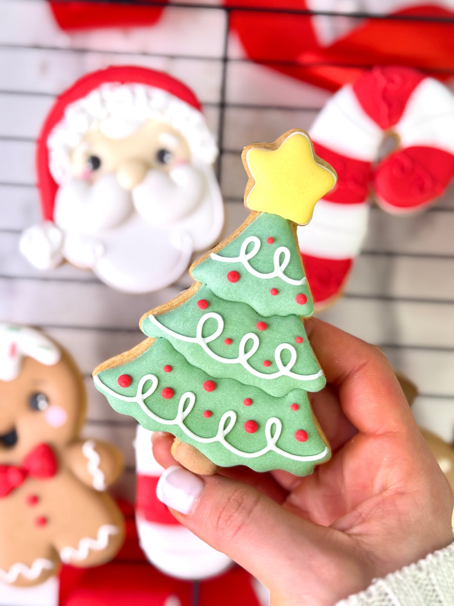 Curso de Galletas Decoradas Edición Navidad