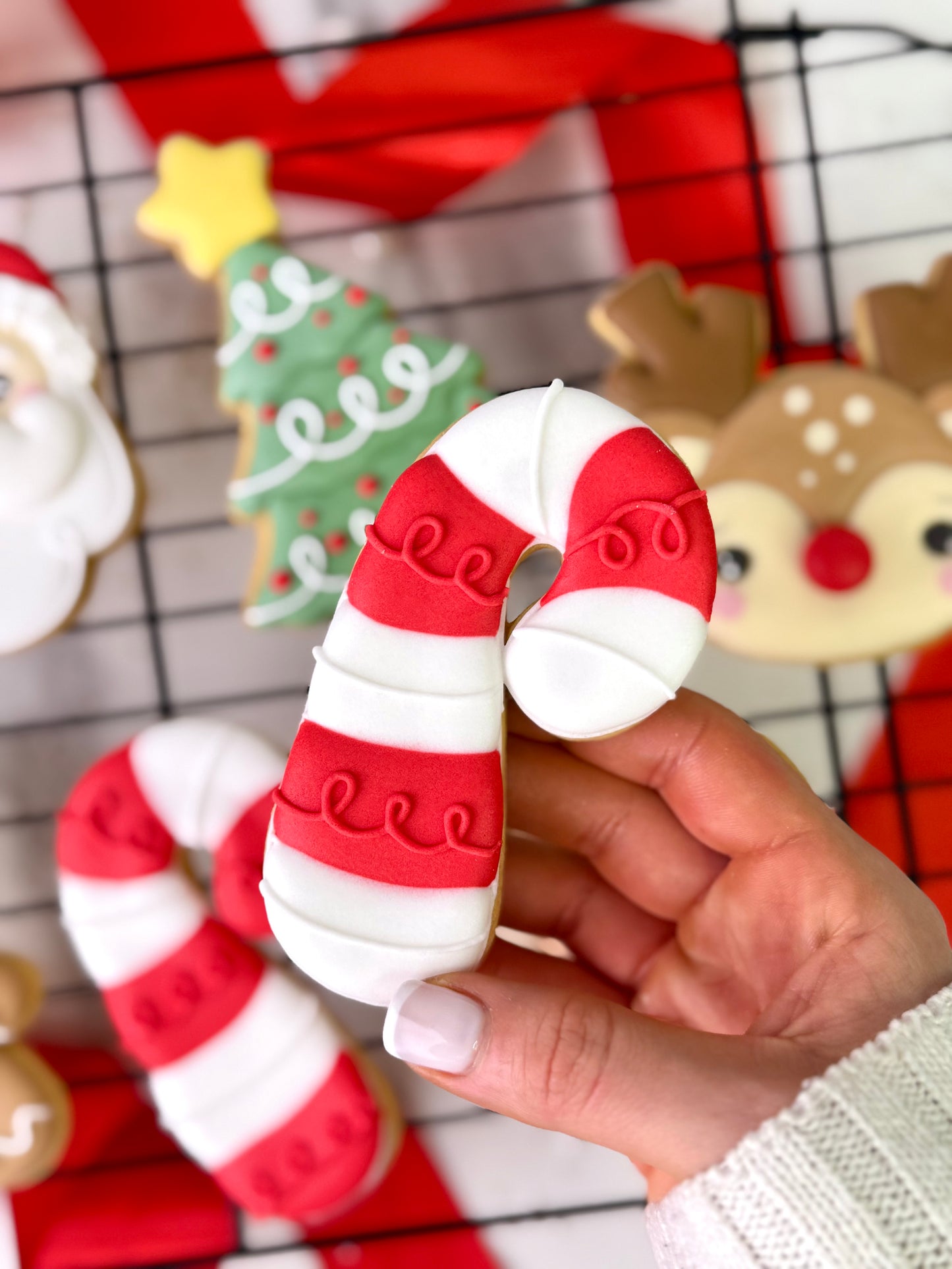 Curso de Galletas Decoradas Edición Navidad