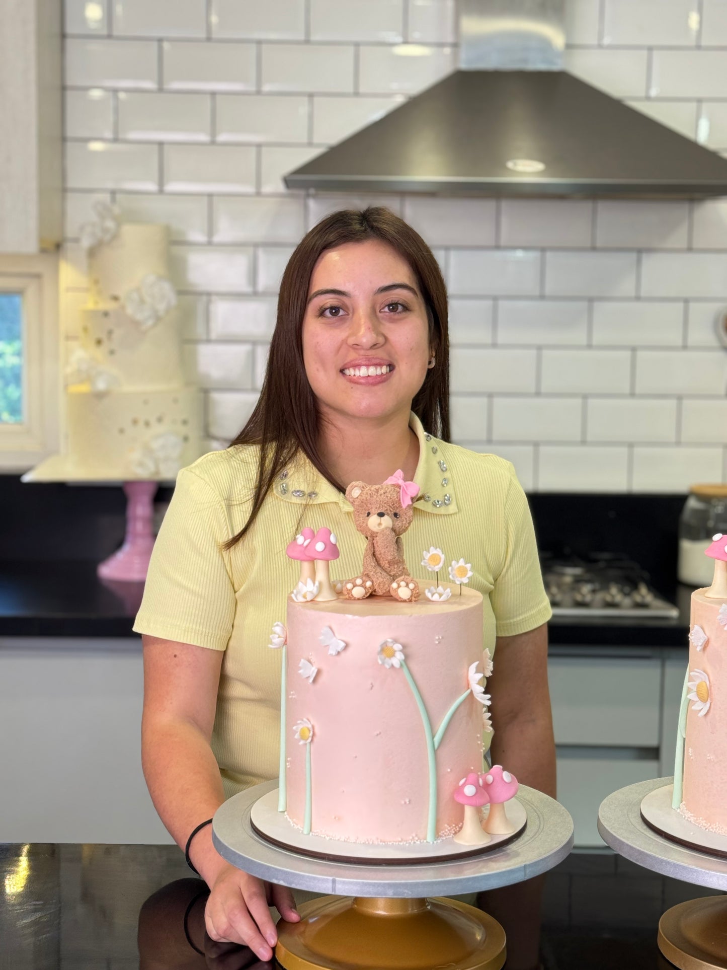 Curso de Tortas Decoradas