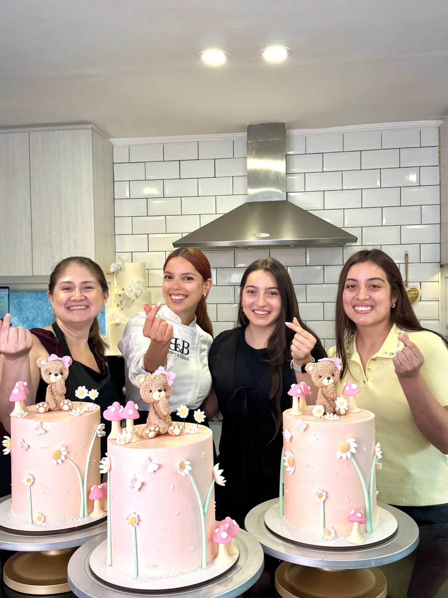 Curso de Tortas Decoradas